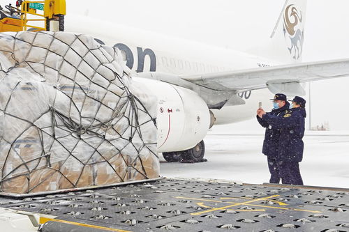 貨物進出口助推煙臺經濟發展——煙臺日報電子報刊觀察